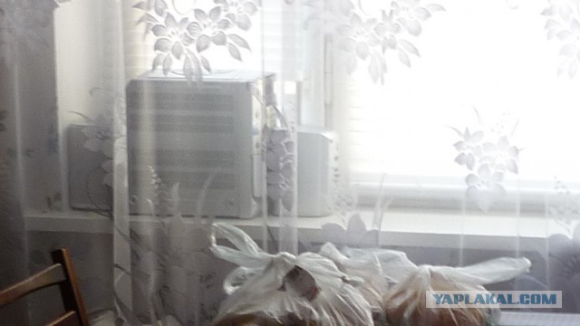 Захотелось любимого пивка из любимого стакана