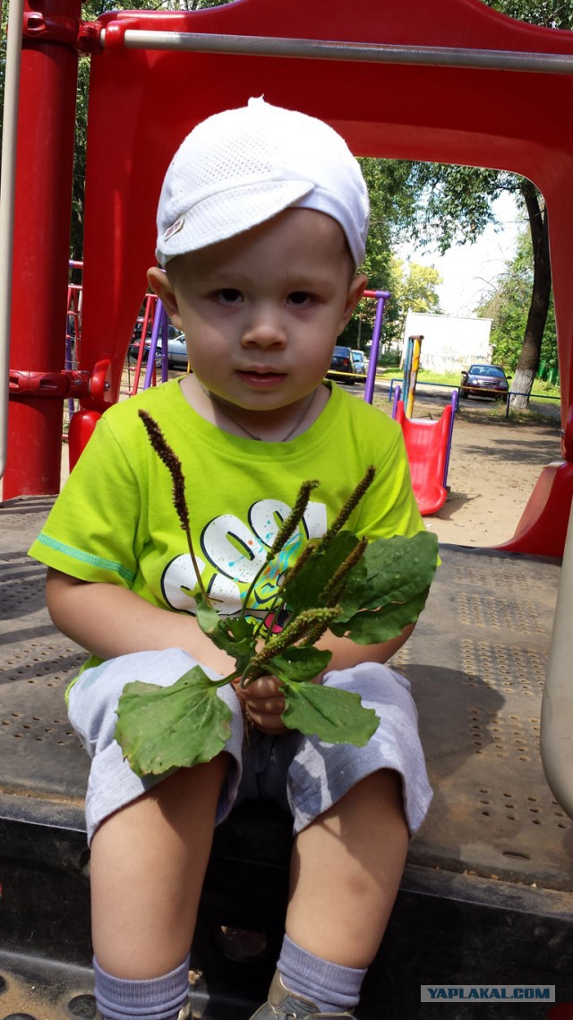 Игровая площадка ребенку - своими руками лучше!