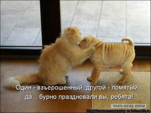 Чёрт, чёрт, чёрт!