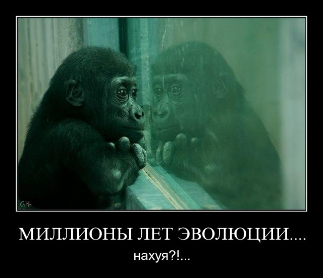 Демотиваторов пост
