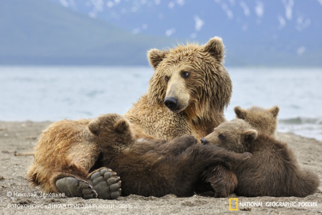 National Geographic,избранное...