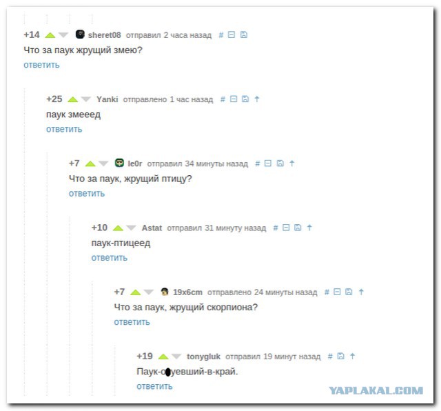 Немного картинок перед понедельником