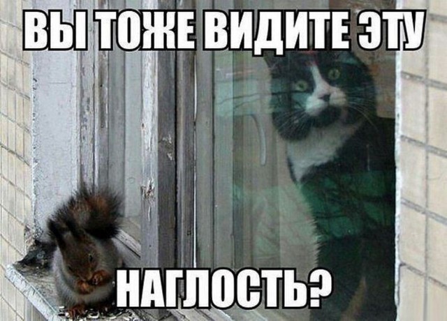 Веселости на пятницу