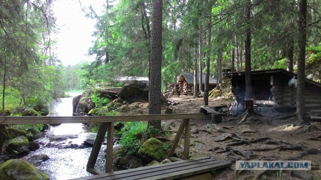 Путешествие в финскую Laavu на выходные