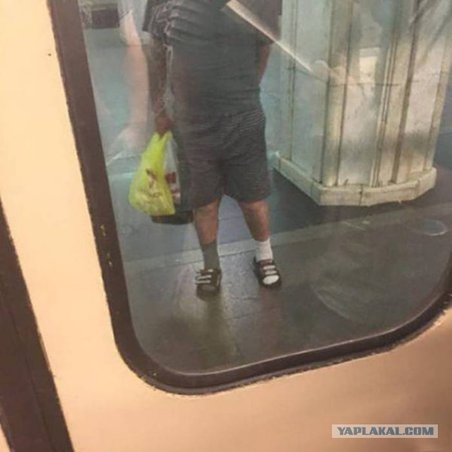 Подборка прикольных фото из сети