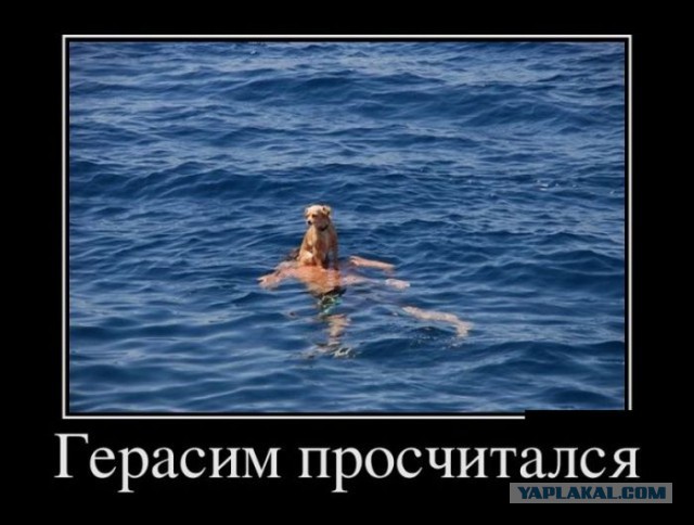 Подборка демотиваторов