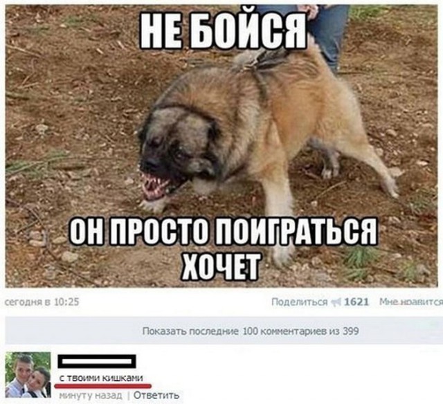 На пороге чужого дома застрелил домашнюю собаку