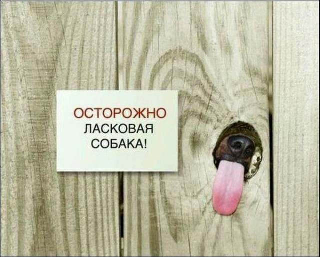 Абсурдный юмор