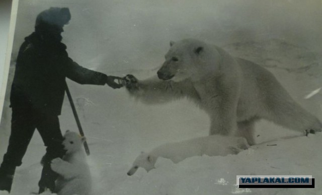 Незванный гость