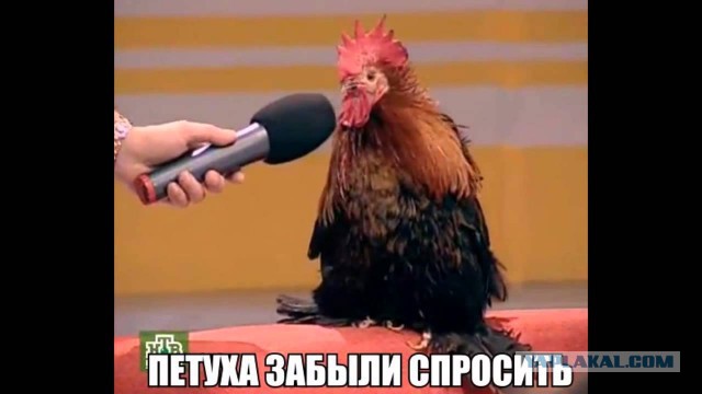 Олбрайт назвала Россию "Бангладеш, только с ядерным оружием"