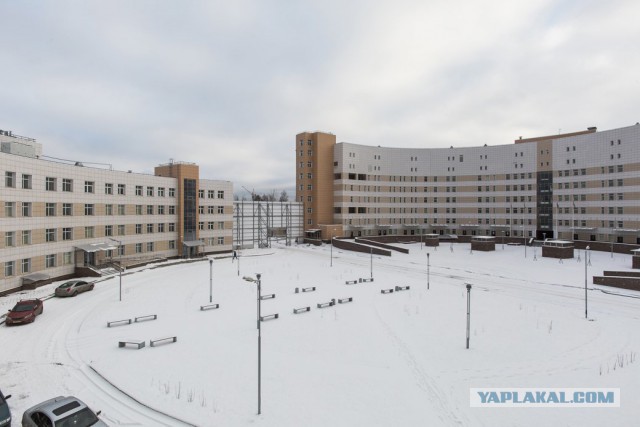 Ад российских больниц