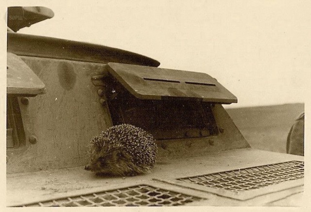 Винегрет фоток на пятницу...