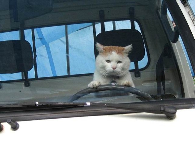 добрейший город :-))