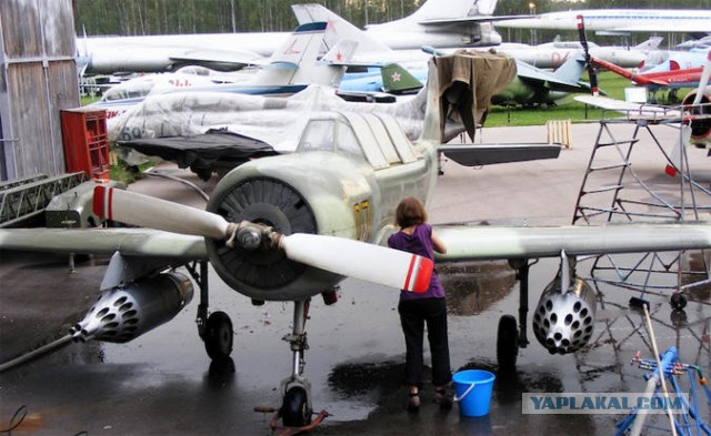 Польский штурмовик