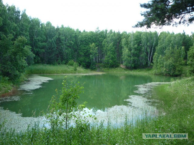 Мой родной сибирский поселок