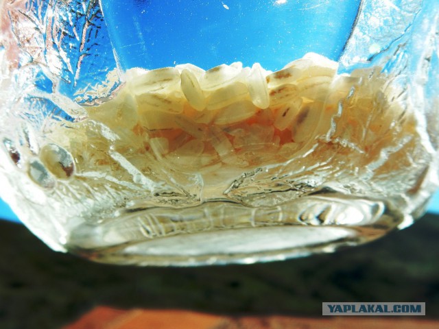 Ризотто с уткой и домашняя шаурма