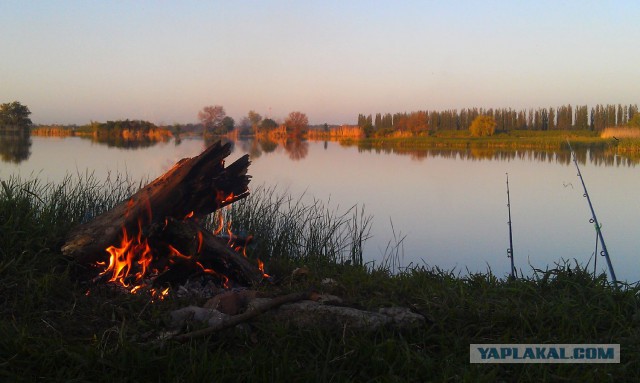 Мир, труд, май! на улице -2, еще час назад была зеленая трава и ясное небо! Сибирь!