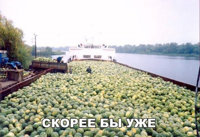 Подборка интересных и веселых картинок