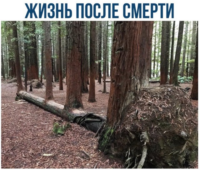 Подборка интересных и веселых картинок