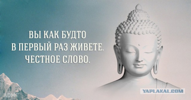 Изменила за 1500 рублей