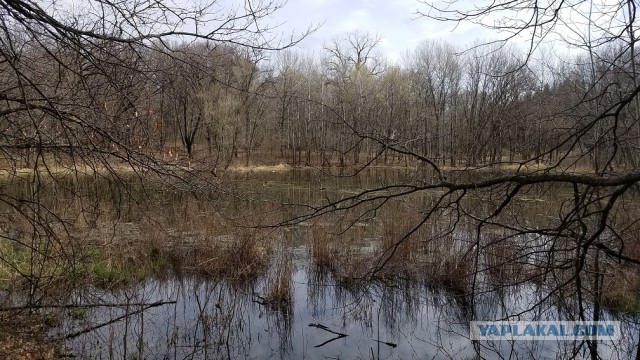 Просто Природа