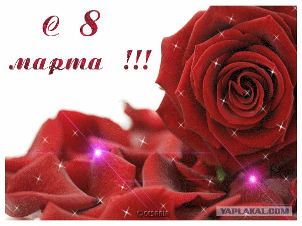 ЯПлакал woman style. 8 марта посвящается