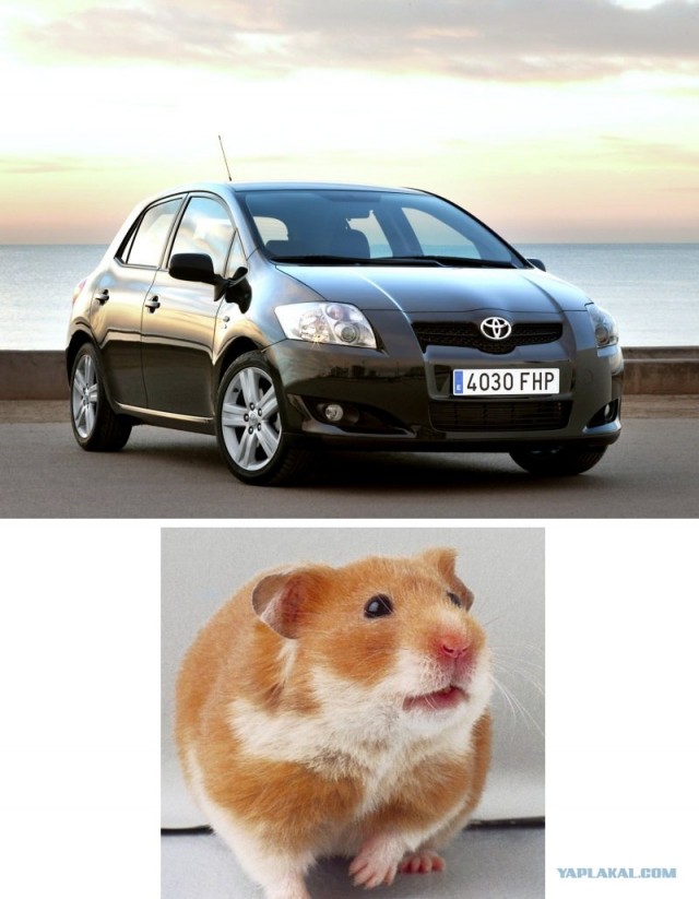 Клички у автомобилей