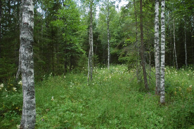 Деревенская Америка - 4