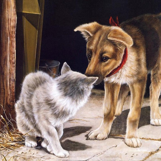 Кошки или собаки?