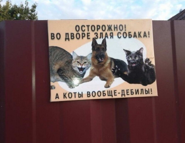 Хорошо когда никуда не надо вставать или верните лето!