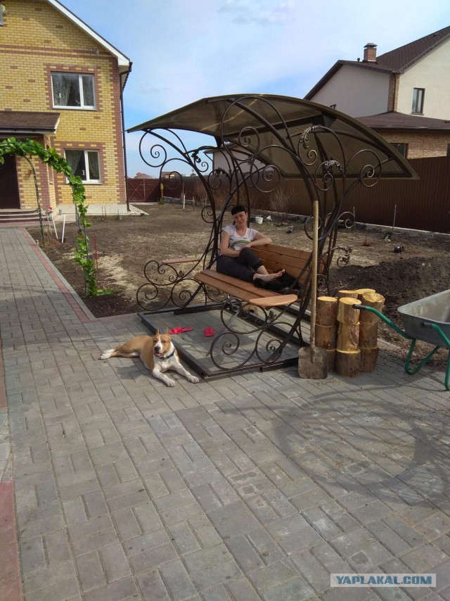 Собакочетверг же 19 09 2019