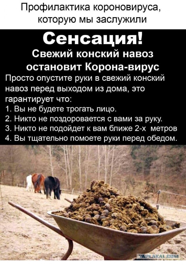 Ударим баянистыми картинками по серости самоизоляции!