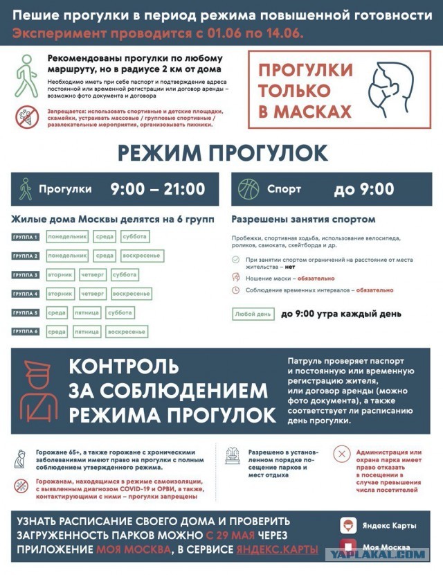 Пандемия. Коронавирус. Россия и мир. Последняя информация. Часть 16