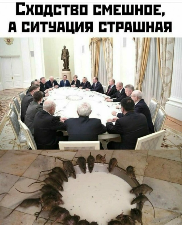 Горящие реки и тайное имущество главы Росприроднадзора