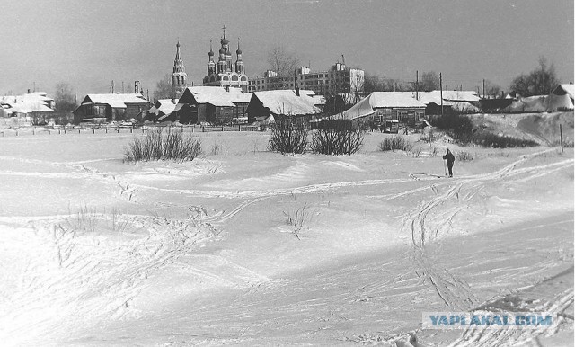 Удачное фото из Московской области