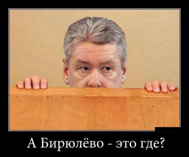 Москвичи оказались главными поклонниками гей-порно в России