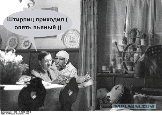 Фотожаба: Штирлиц - мой герой