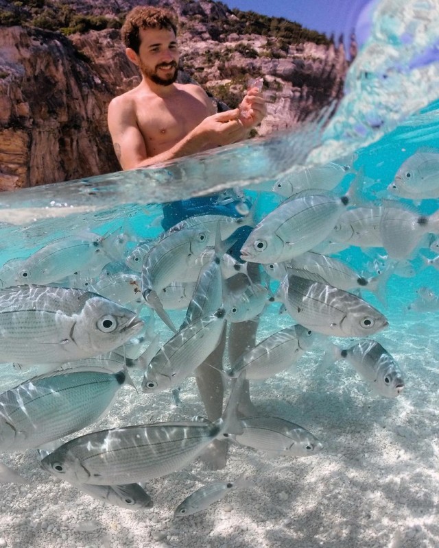 Чуток картинок не про вирус  18.0.  Животные