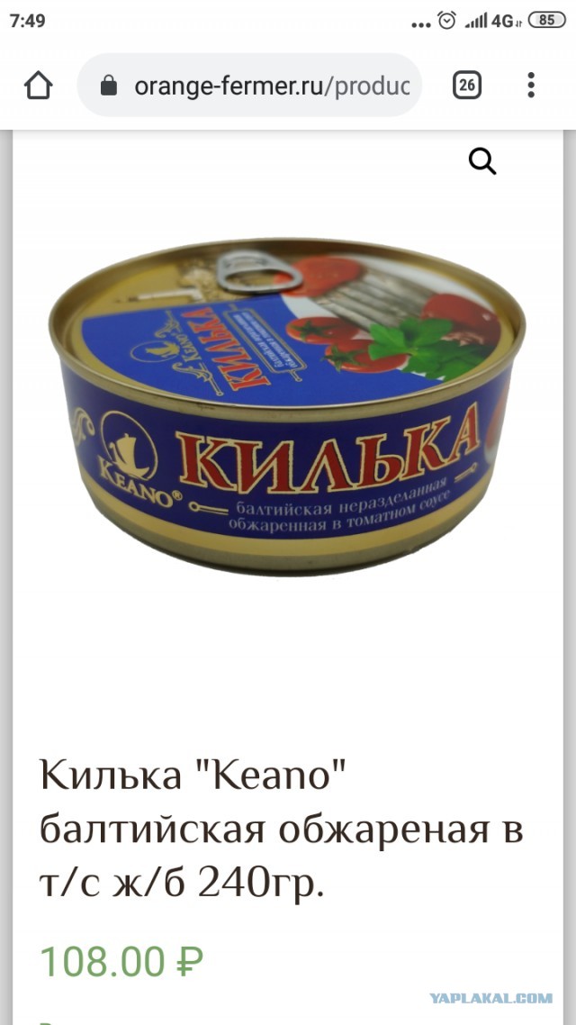 Килька: Селёдка, ставшая культовой в СССР. Её ловят по 600 тысяч тонн в год, а она не кончается. Как так?