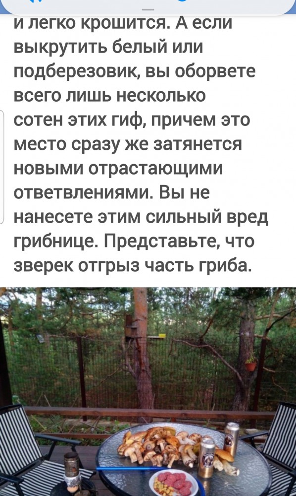 Беседка "Легкая"