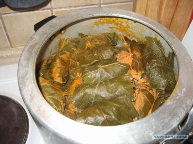 Фарш для Чайников, Мяско рубленное: тЯП-лЯП-International