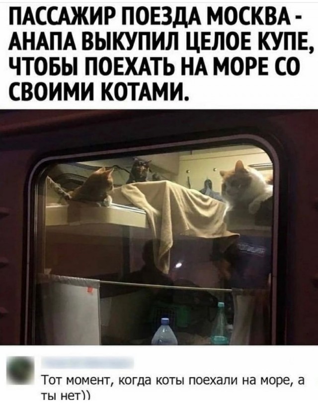 Картинки и мемы для настроения 16.06.2021