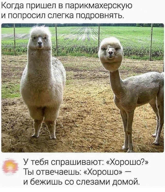 Картинки разные 23.06.2021