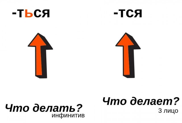 СтопХам - "Вы арестованы"