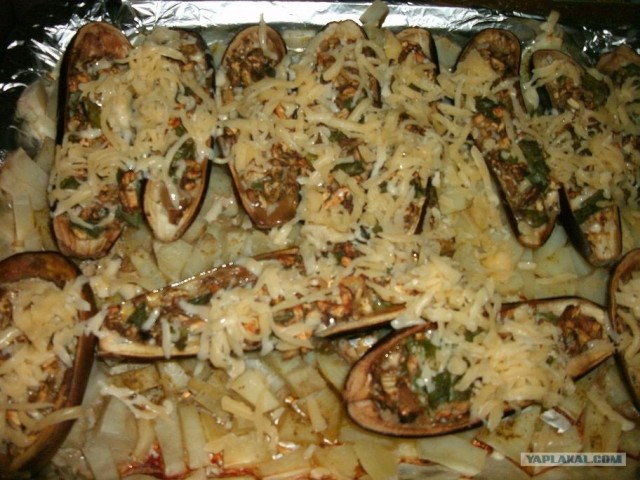 Пятничные посиделки на теплотрассе ©