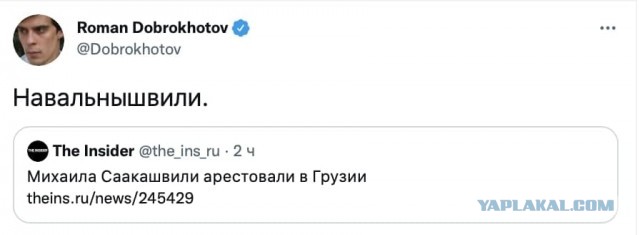 Саакашвили задержан в Грузии