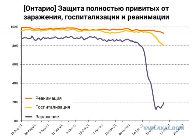 Пандемия. Коронавирус. Россия и мир. Часть 28