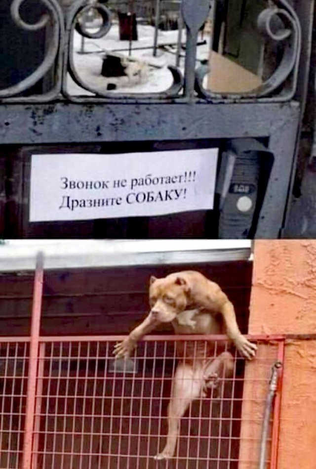 Весёлый полтишок 13.03.22