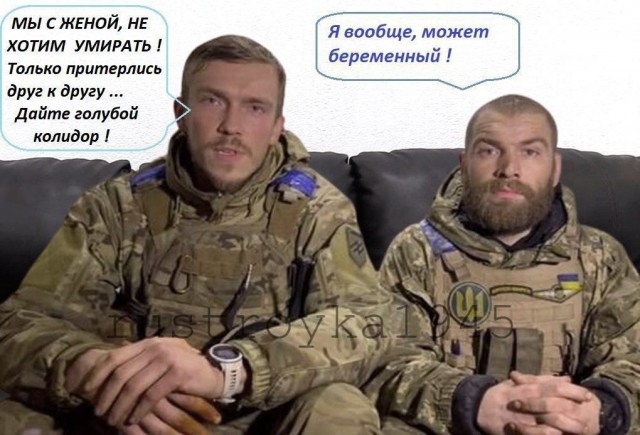 Преданные идиоты