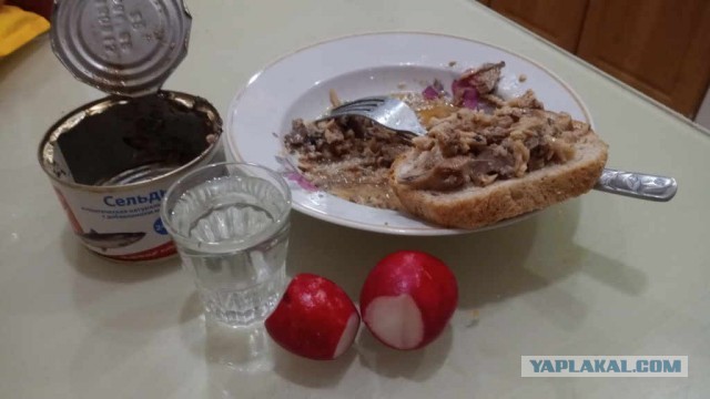 Пандемия. Коронавирус и съехавшие крыши. Россия и мир. Часть 34.